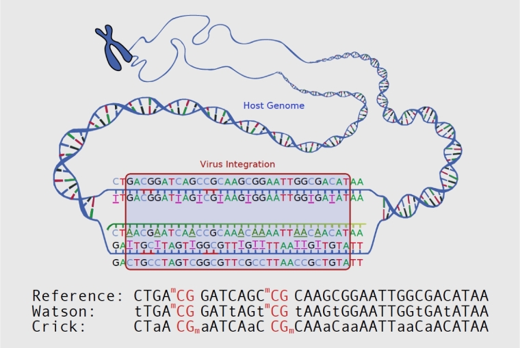 Figure 1: