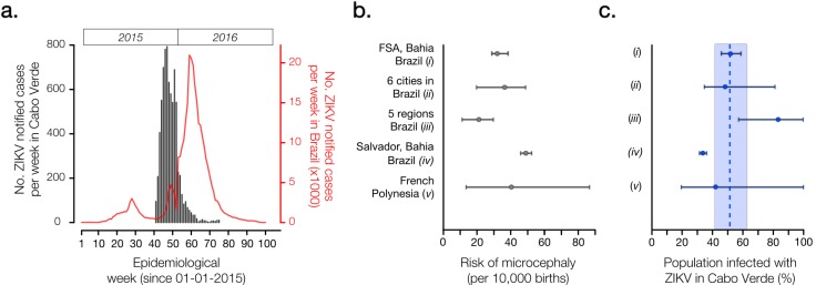 (Panel a) Number of ZIKV notified cases per epidemiological week in Cabo Verde (dark grey) and in Brazil (red). (Panel b) Reported number of microcephaly cases per 10,000 ZIKV-exposed pregnancies and corresponding 95% confidence intervals by studies (i)-(v). (Panel c) Estimated proportion of the Cabo Verdean population infected with ZIKV during the 2015-2016 outbreak (attack rate, AR), as formulated by AR = m /(b x rMC). We considered m=18 microcephaly cases across Cabo Verde as reported to the SVIER-MS, and b=10,908 births during the observation period; rMC=risk of microcephaly per pregnancy extrapolated from reports in panel b. Dashed line and coloured area represent the mean and standard error estimates for the AR in Cabo Verde. (Panel a) Number of ZIKV notified cases per epidemiological week in Cabo Verde (dark grey) and in Brazil (red). (Panel b) Reported number of microcephaly cases per 10,000 ZIKV-exposed pregnancies and corresponding 95% confidence intervals by studies (i)-(v). (Panel c) Estimated proportion of the Cabo Verdean population infected with ZIKV during the 2015-2016 outbreak (attack rate, AR), as formulated by AR = m /(b x rMC). We considered m=18 microcephaly cases across Cabo Verde as reported to the SVIER-MS, and b=10,908 births during the observation period; rMC=risk of microcephaly per pregnancy extrapolated from reports in panel b. Dashed line and coloured area represent the mean and standard error estimates for the AR in Cabo Verde.