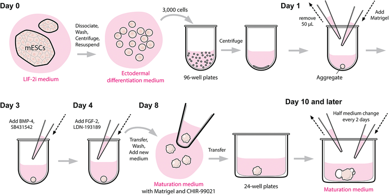 Figure 2.