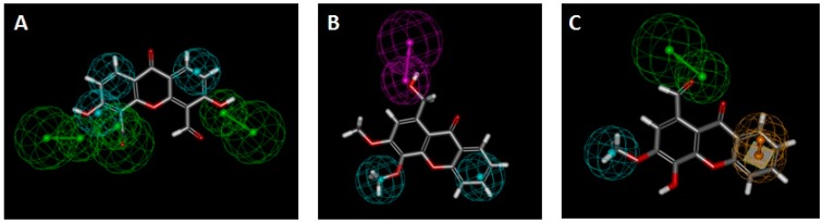 Figure 10