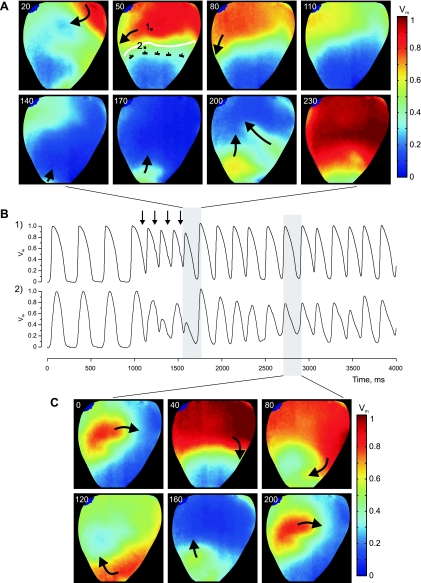 Fig. 9.