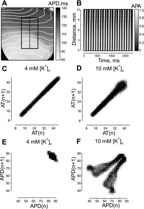 Fig. 5.