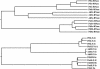 Figure 9.