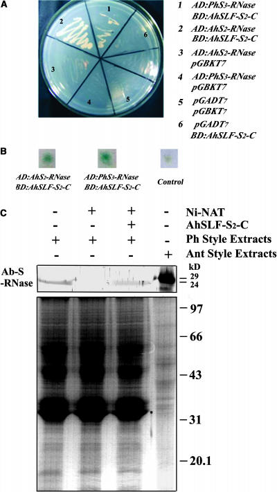 Figure 7.