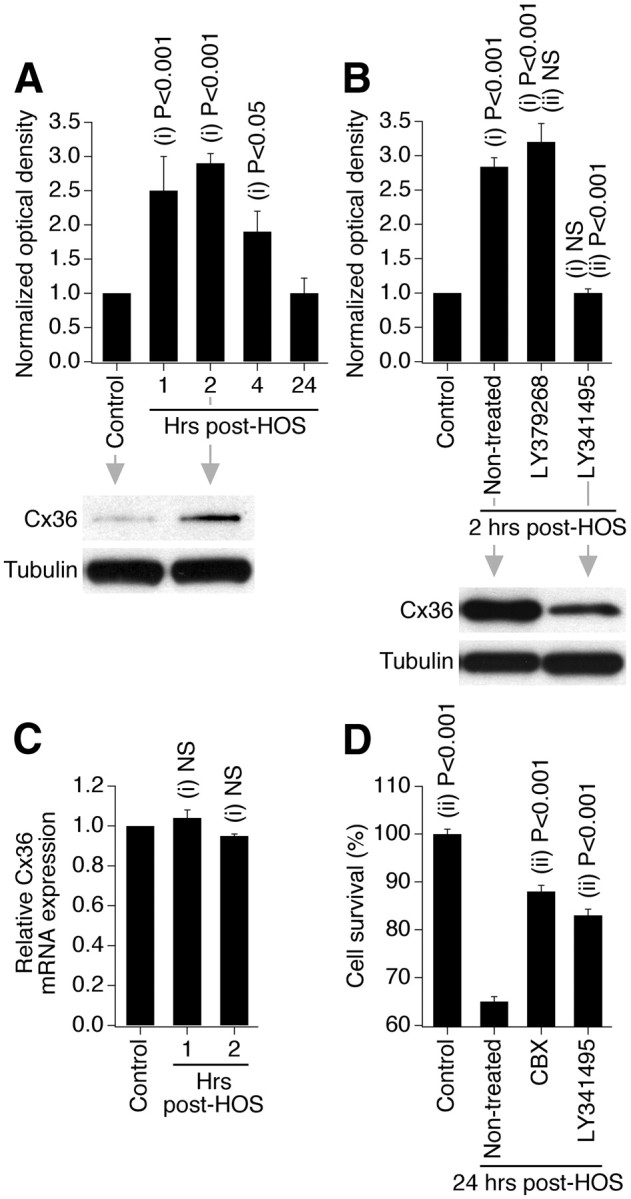 Figure 10.