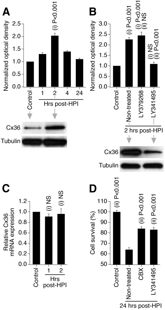 Figure 11.