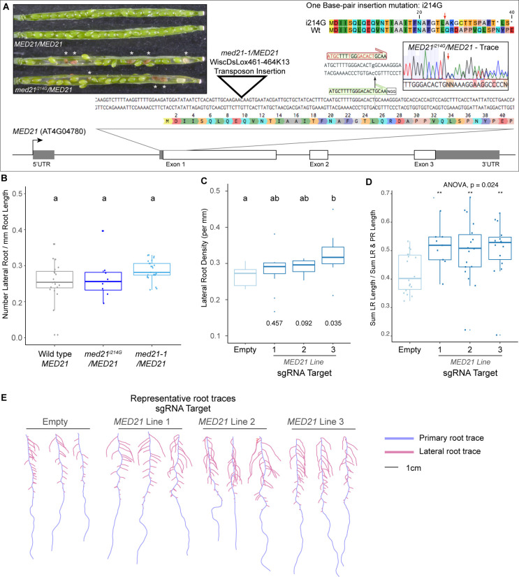 Figure 6—figure supplement 2.