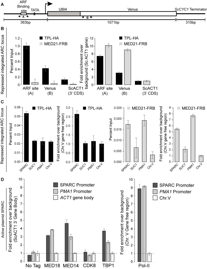 Figure 4—figure supplement 2.