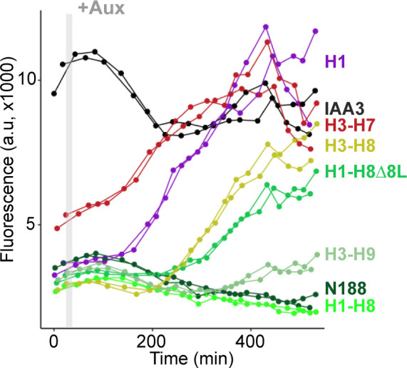 Figure 1—figure supplement 1.