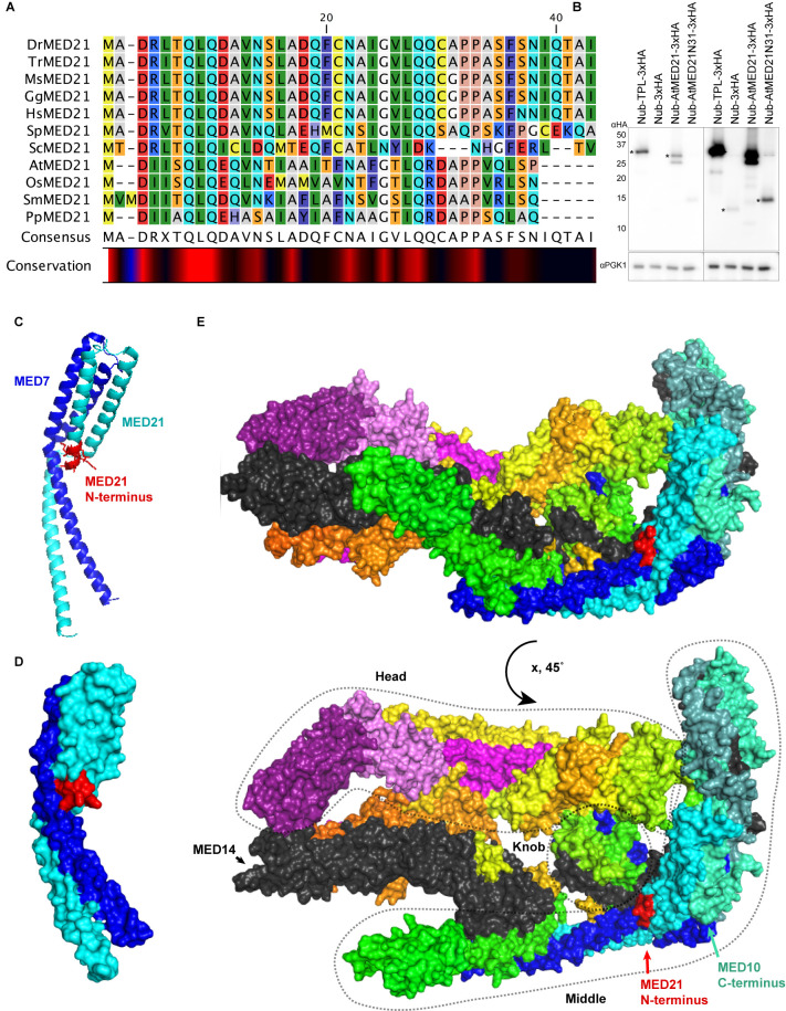 Figure 2—figure supplement 2.