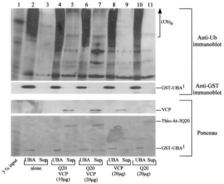 FIG. 10.