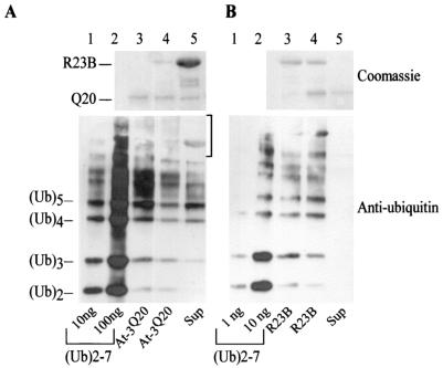 FIG. 8.