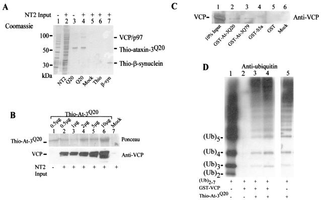 FIG. 9.