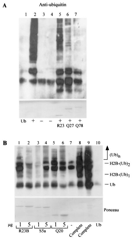 FIG. 7.