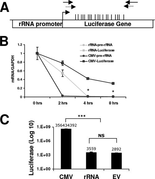 FIG. 7.