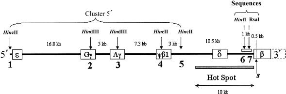 Figure  1