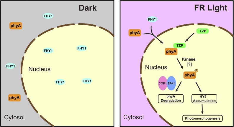 Figure 9.