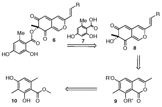 Scheme 1