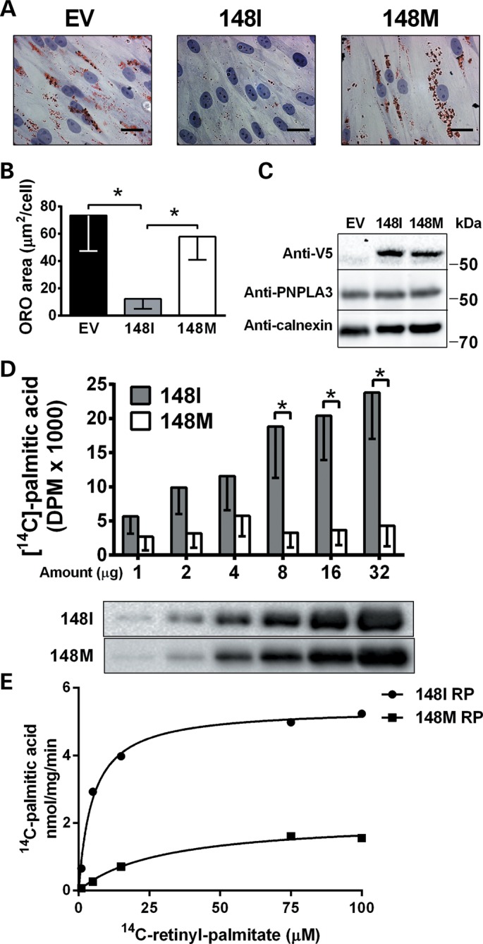 Figure 5.