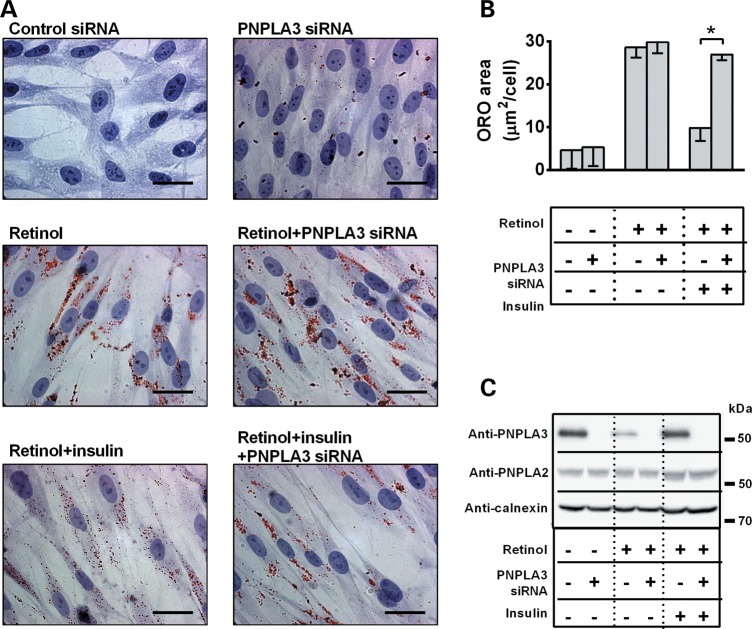 Figure 3.