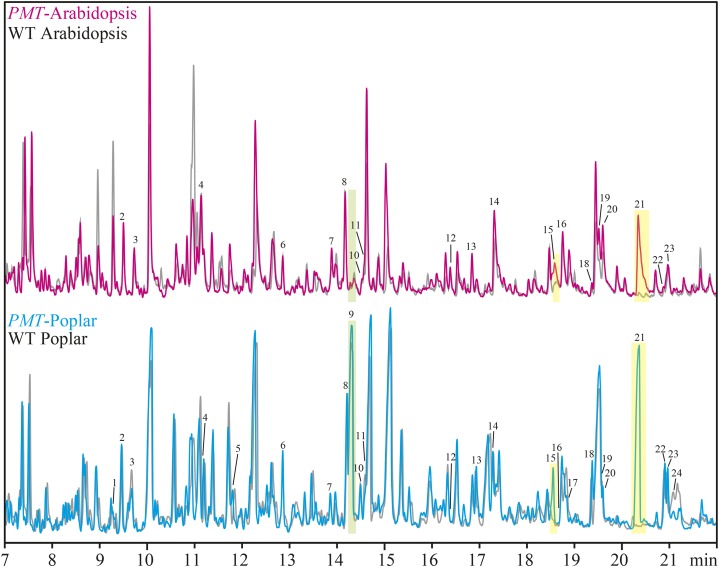 Figure 2.