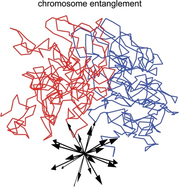 Fig. 10