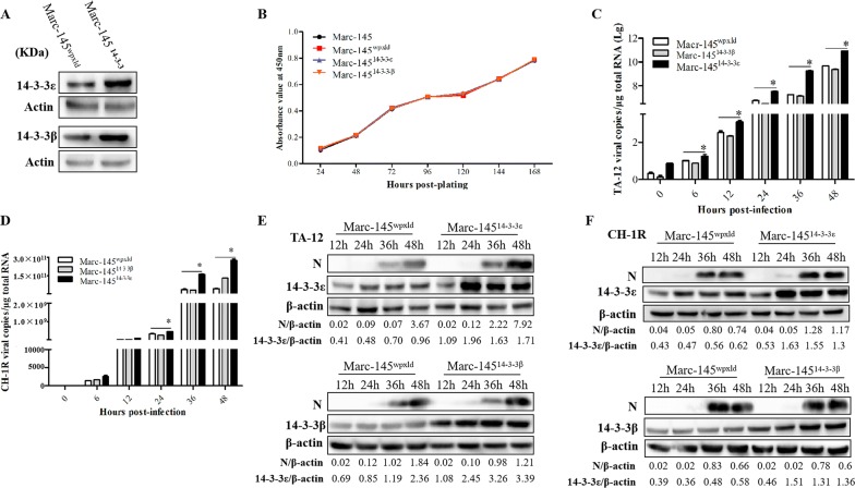 Figure 3