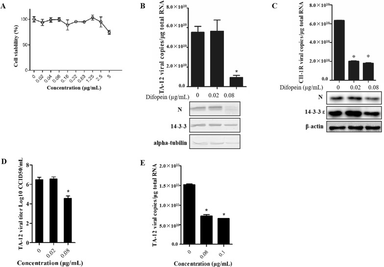 Figure 4