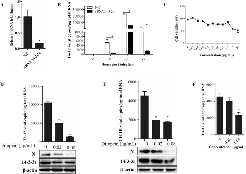 Figure 5