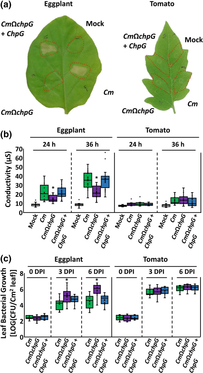 FIGURE 2