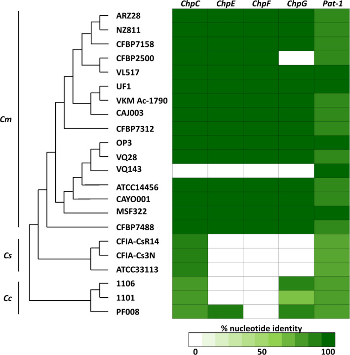 FIGURE 7