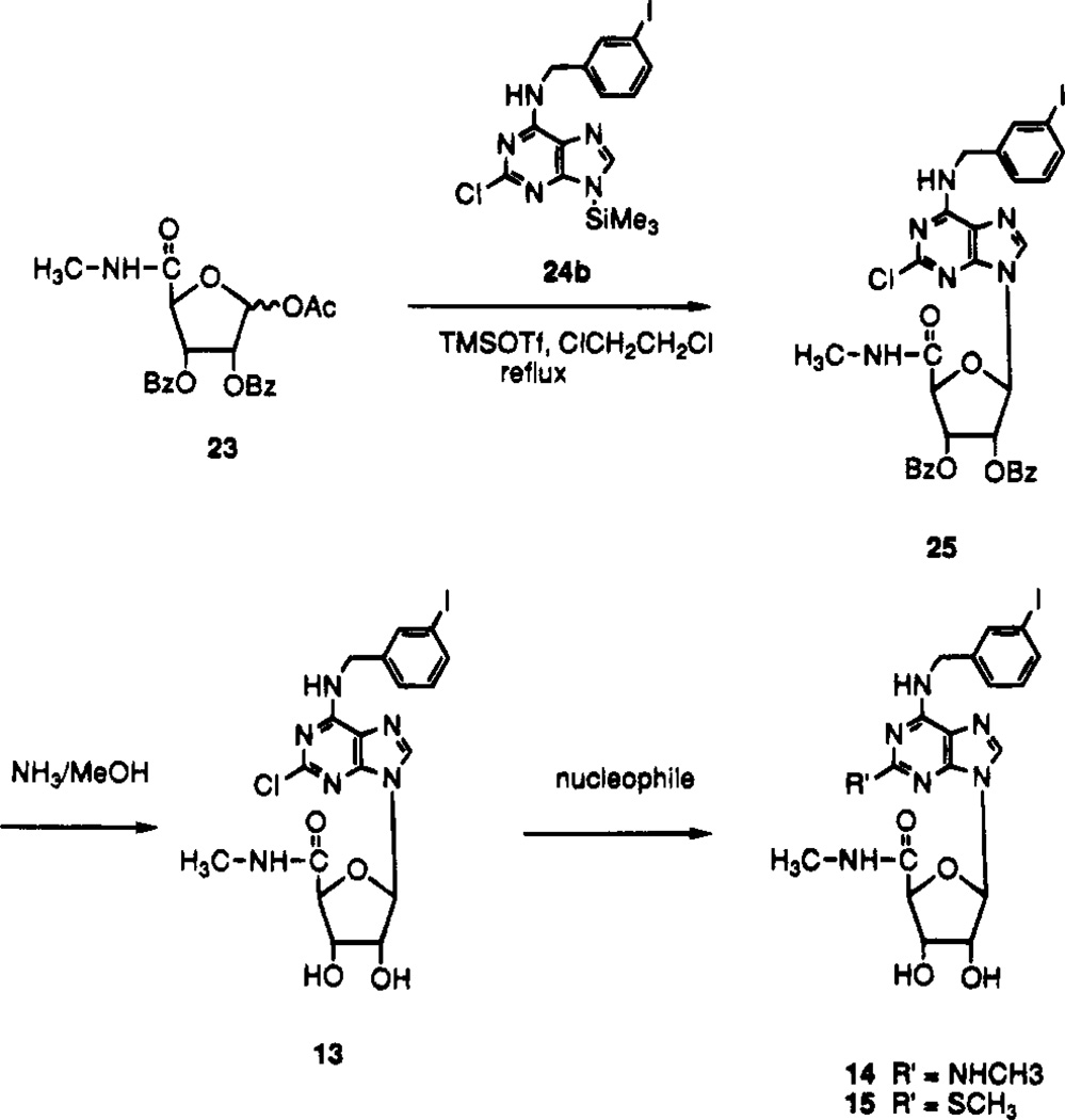 Scheme 2