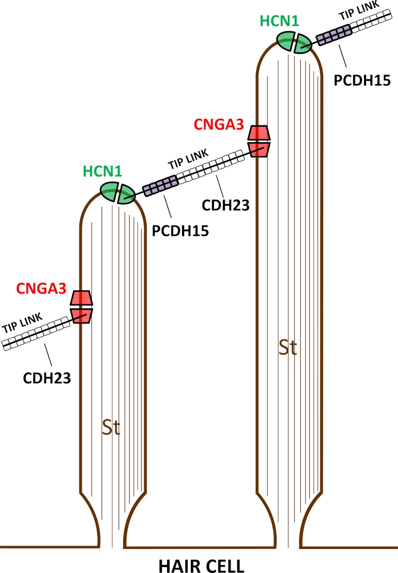 FIGURE 7.