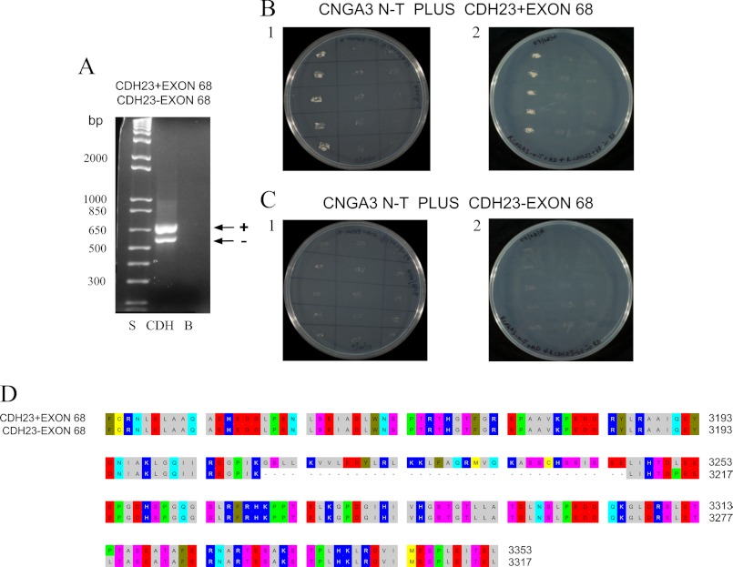 FIGURE 2.