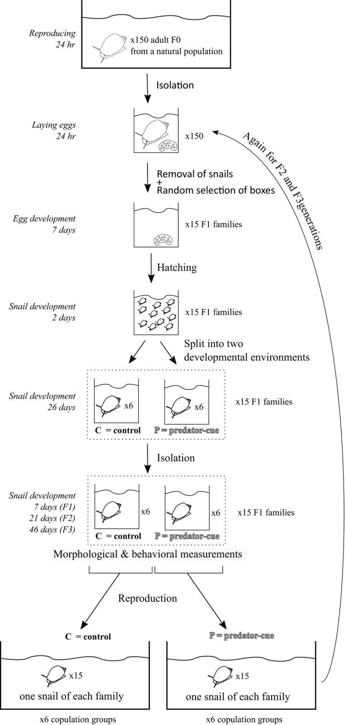 graphic file with name ECE3-10-2367-g005.jpg