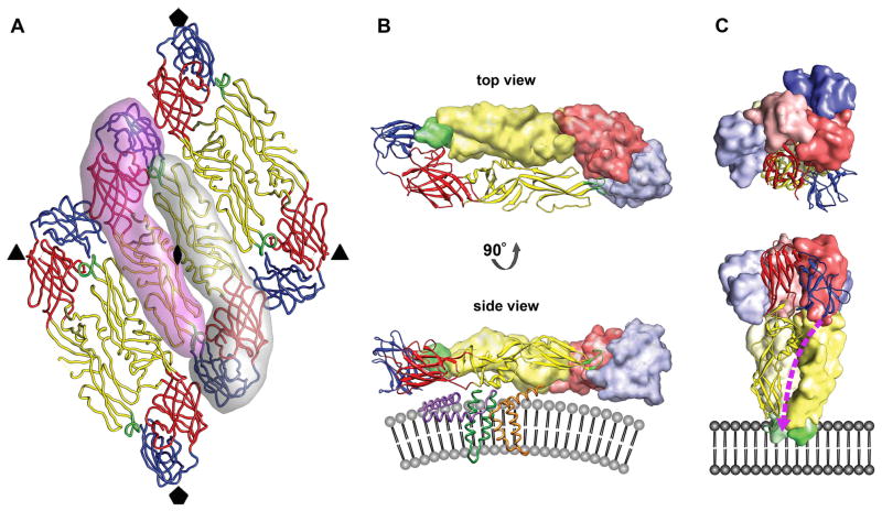 Fig. 2