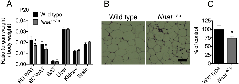 Figure 2