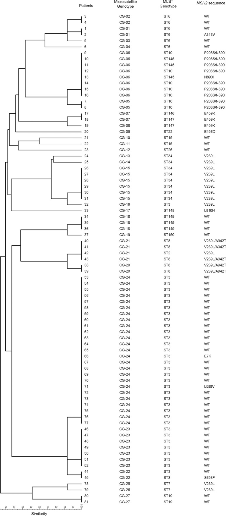 FIG 1