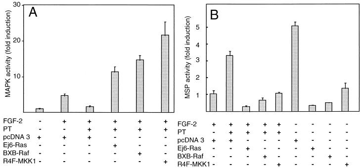 FIG. 7