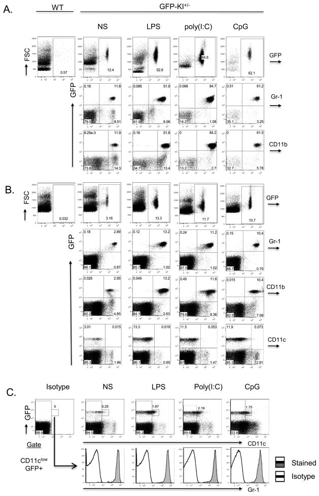 Figure 5