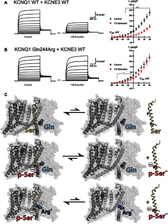 Fig. 9