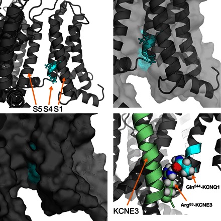 Fig. 10