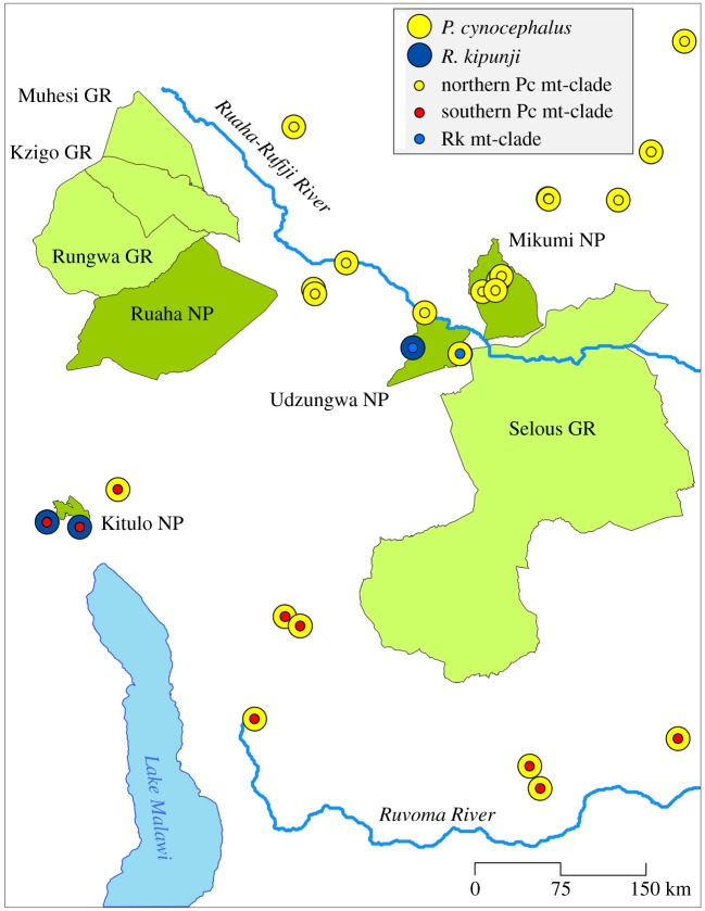 Figure 1.