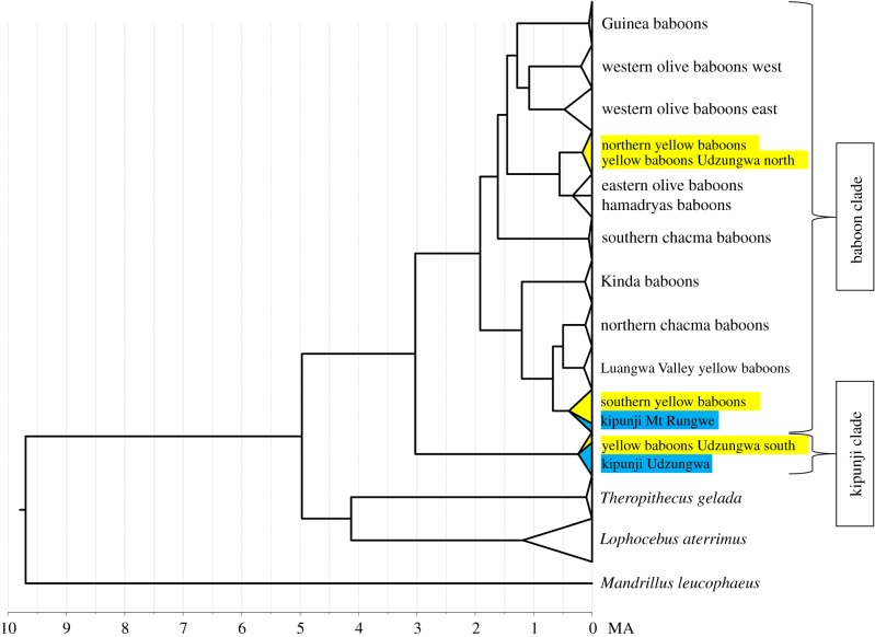 Figure 2.