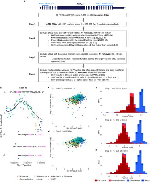 Extended Data Figure 6 |