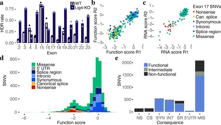 Figure 2 |