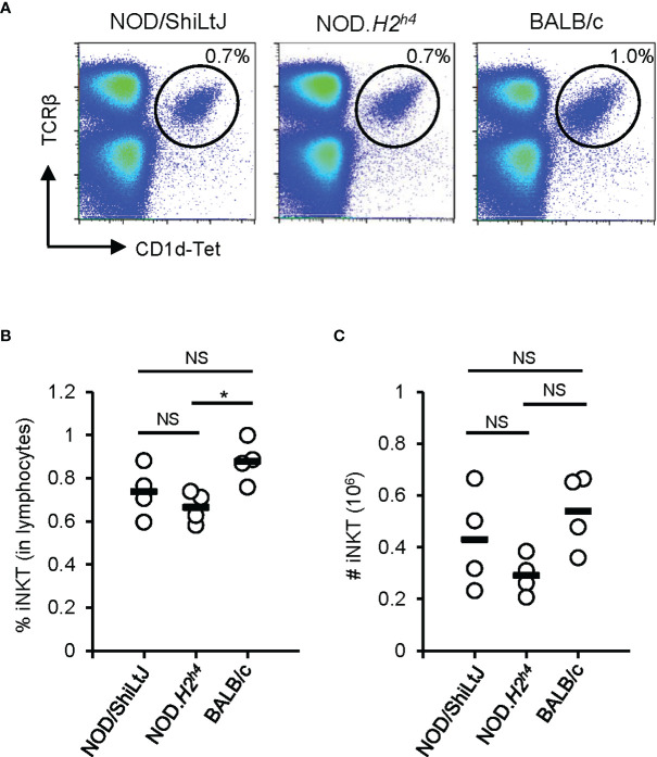 Figure 2