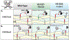 Fig. 3: