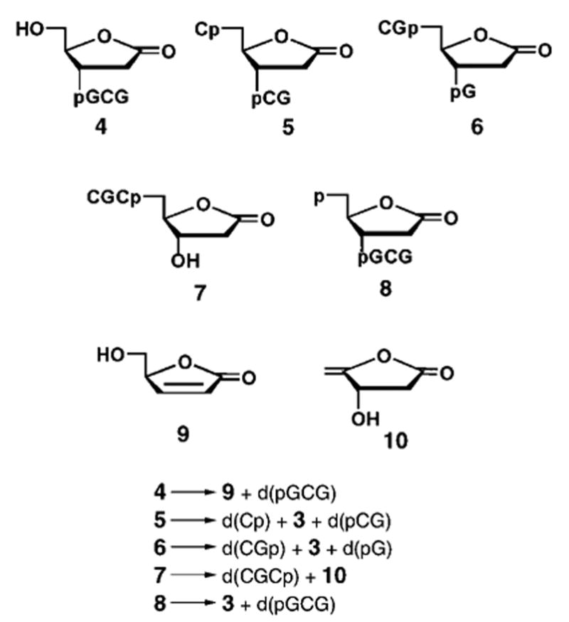 Scheme 2