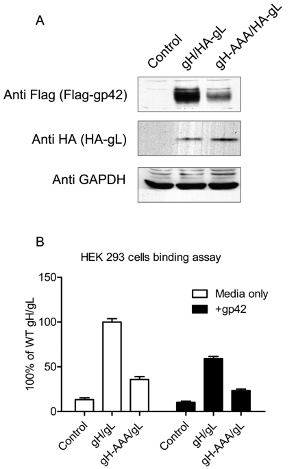 FIG 3 